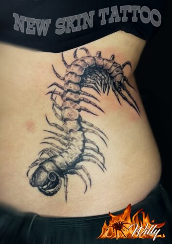 centipede