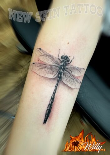 dragonfly