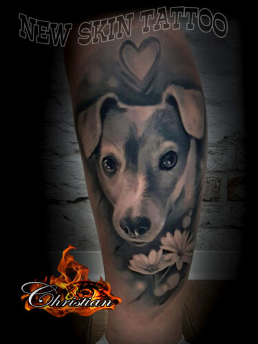 jack russell