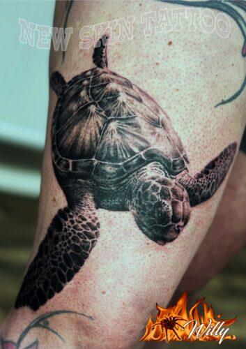 turtle